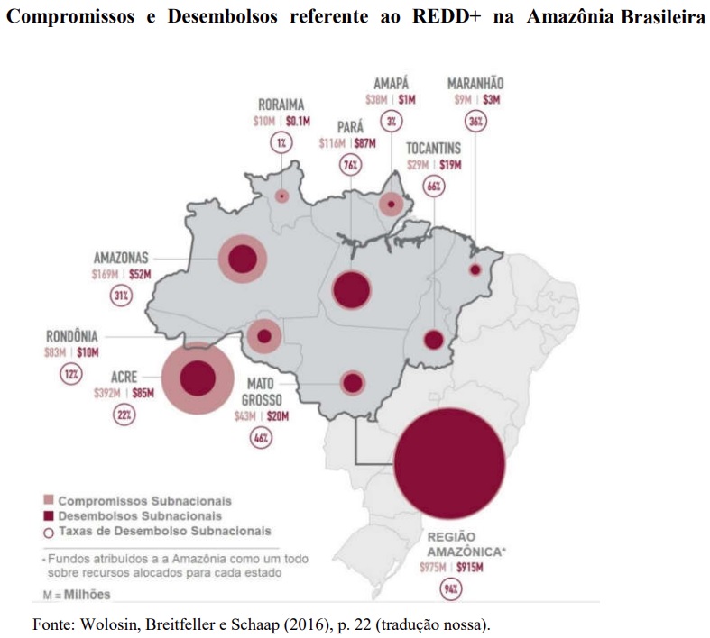 Créditos de carbono gerados por projetos REDD preservam a Amazônia e