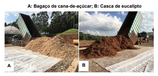 A: Bagaço de cana-de-açúcar; B: Casca de eucalipto