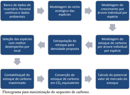 Potencial brasileiro para implantação de projetos de reflorestamento para sequestro de carbono