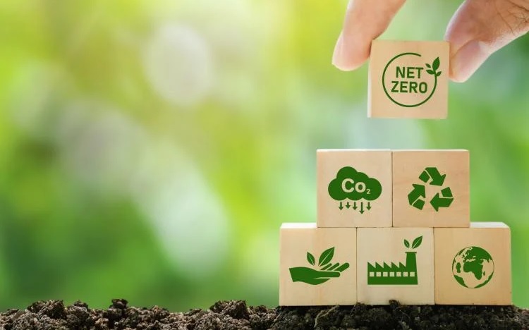 Estudos mostram relação entre sustentabilidade nas empresas e remuneração dos executivos
