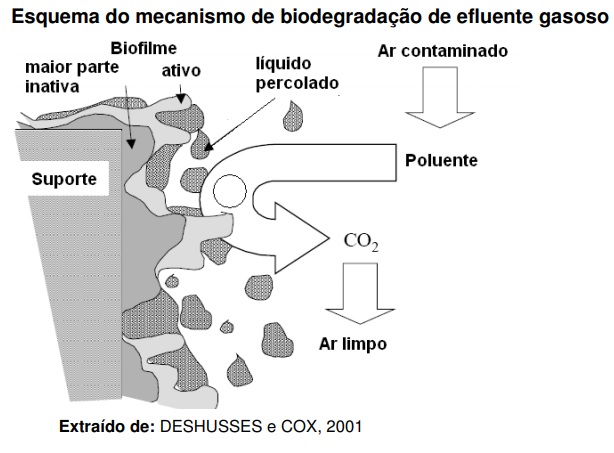 Tratamento biológico pode ser alternativa para combater a poluição atmosférica