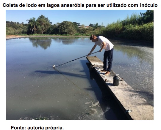 Biomassa gerada por resíduos vegetais é ideal para digestão anaeróbia