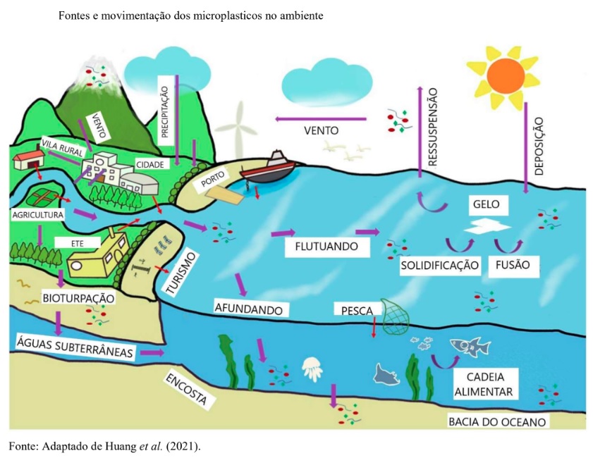 Estudos mostram impactos dos microplásticos na vida marinha