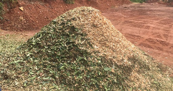 Compostagem possibilita reutilizar resíduos de podas e jardins beneficiando o meio ambiente