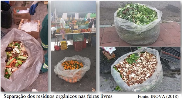 Compostagem de resíduos orgânicos traz ganhos ecológicos e sociais
