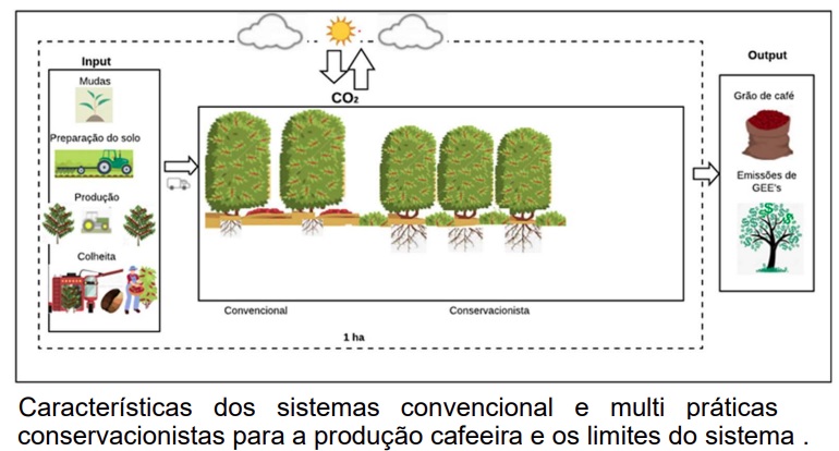 Adoção de práticas conservacionistas ampliam sequestro e estoque de carbono na cafeicultura