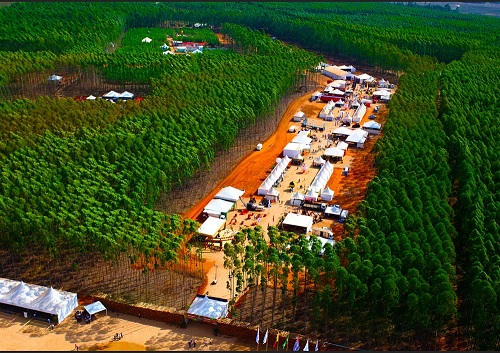 M&T Expo reforça a importância do mercado de máquinas para as áreas de mineração e florestal